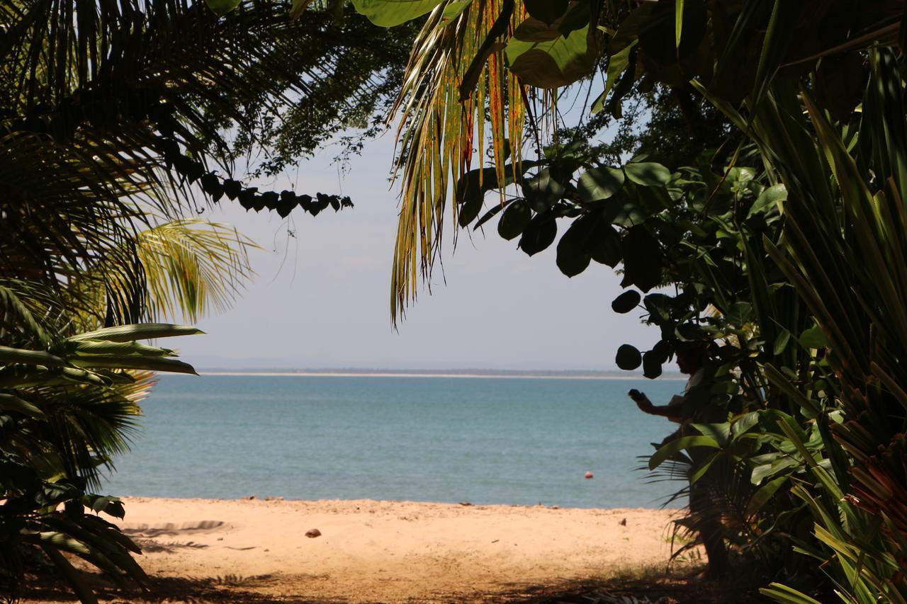 Coroaci Beach House Barra Grande  Exterior photo